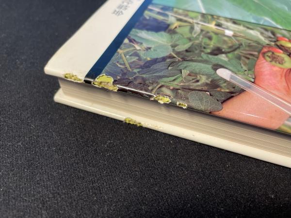 原色 生理障害の診断法―野菜・果樹・花・作物 和彦, 渡辺 中古】 原色・生理障害の診断法 野菜・果樹・花・作物/農山漁村文化