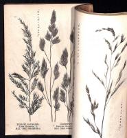 実用牧草新書