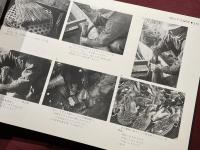 写真記録　日本鳥類狩猟法　堀内讃位　野鳥　限定版 写真記録 日本鳥類狩猟法 堀内讃位 野鳥 限定版 - メルカリ