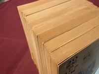 20世紀のロシア小説