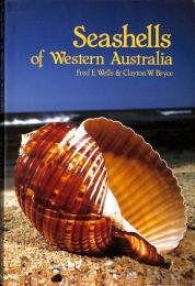 Seashells of Western Australia