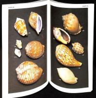 Shells of Southern Africa : A Concise Guide for Collectors 2nd edition