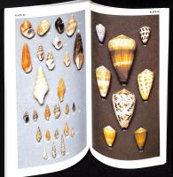 Shells of Southern Africa : A Concise Guide for Collectors 2nd edition