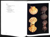 Guidebook to pecten shells : recent pectinidae and propeamussiidae of the world