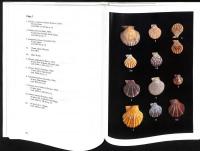 Guidebook to pecten shells : recent pectinidae and propeamussiidae of the world
