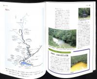 おきなわの川