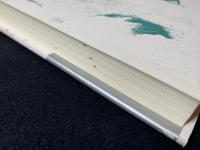 緑年時代 : 深尾道典シナリオ集