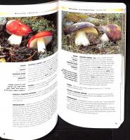 Mushrooms of Colorado and the Southern Rocky Mountains