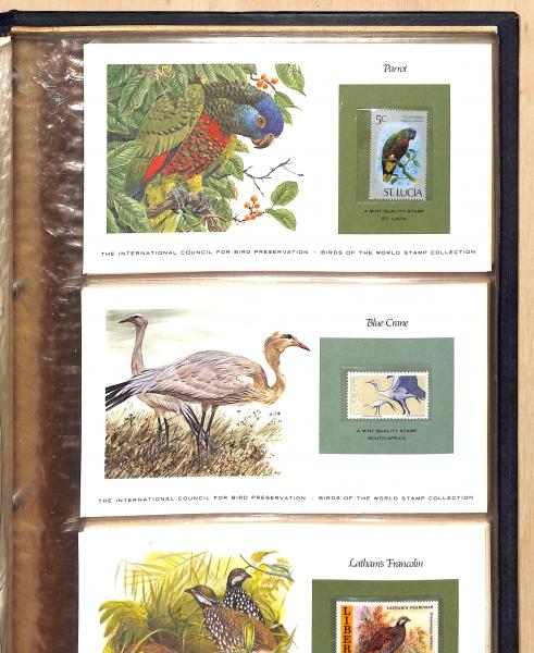 世界の鳥の切手コレクション本 世界の鳥の切手コレクション本 世界の鳥の切手コレクション本 2025年