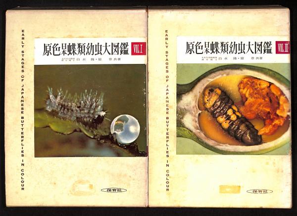 ゲリラ出品【絶版】原色日本蝶類幼虫大図鑑Ⅰ/Ⅱ 二巻セット 保育社 原色日本蝶類幼虫大図鑑(白水隆, 原章 共著) / 古本、中古本、古書籍の
