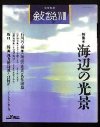文学批評 敍説