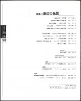 文学批評 敍説
