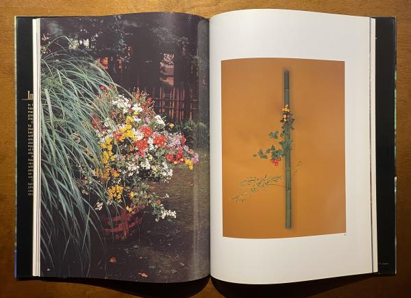 Inspired Flower Arrangements 川瀬敏郎のいけばな集 英文版 川瀬敏郎のいけばな集 【新装版】 - Inspired Flower