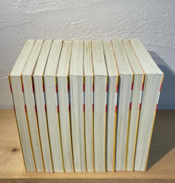 新聖書講解シリーズ(山口昇 他) / 古本、中古本、古書籍の通販は「日本
