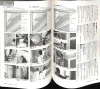 左官「超実用」テクニック読本