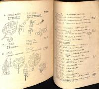 三重県 植物異同辨：槌賀先生編 採集に便利な覚え書
