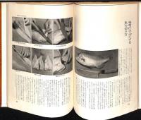 味噌汁 三百六十五日