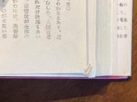 売春婦の性生活