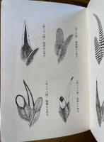 家禽體型標準