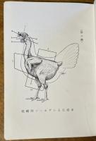 家禽體型標準