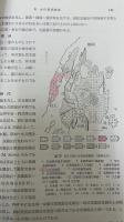 日本岩石誌　Ⅱ (深成岩 第2)