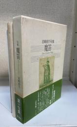 魔笛 : 岩崎眉乃句集