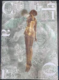 天使に至る系譜 : chiaroscuro