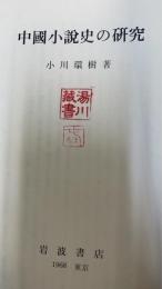 中国小説史の研究
