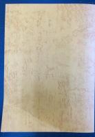 創立百周年記念　郡山市立開成小学校（福島県立郡山市開成）