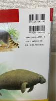 動物世界遺産　レッド・データ・アニマルズ　本巻8冊+別巻1冊　全9冊揃 