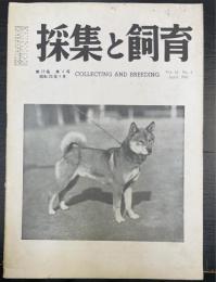採集と飼育 = Collecting and breeding　13(4)