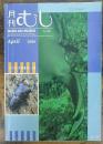 月刊むし　300号　2000年4月号　クワガタ特集号・12