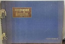 日本水産動植物図集　下編　改訂版