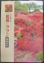 館林とツツジ　館林市史　特別編 第1巻