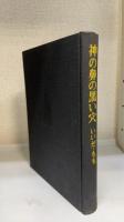 神の鼻の黒い穴　河出・書き下ろし長篇小説叢書　「岩田弘」旧蔵