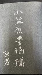 現代東欧文学全集6 肉桂色の店, クレプシドラ・サナトリウム, コスモス