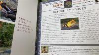 たきび　＜かがくのとも　10＞