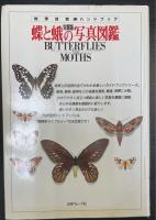 蝶と蛾の写真図鑑 : オールカラー世界の蝶と蛾500 : 完璧版　地球自然ハンドブック