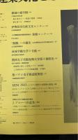 建築文化　　Vol32.　No374　雑創の森学園六角鬼丈計画工房　　MINI　ORO　システム設計と住環境の創造　J.プルーベの近作