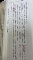 打たれた傷によって : 環境失明超克の地平