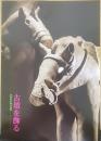 古墳を飾る : 音乗谷古墳の埴輪　　飛鳥資料館カタログ第14冊