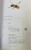 墨　Sumi/WATER バガボンド画集 計2冊（初版）