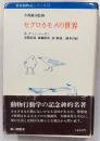 セグロカモメの世界　世界動物記シリーズ11