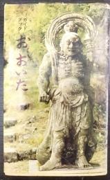 ガイドブック『おおいた』