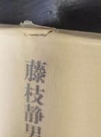 藤枝静男著作集　第4巻