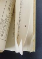 現代文豪 名作選集　漱石・樗牛・雪嶺・蘆花・紅葉・獨歩　計6冊