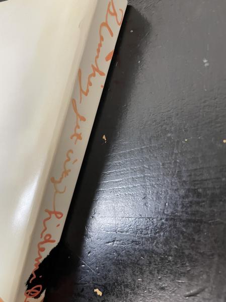 ブランキー・ジェット・シティ : 緒方秀美写真集(緒方秀美 著) / 古本