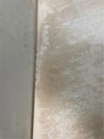 諸病治療薬効詳解　薬用植物図鑑