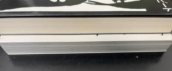 チバユウスケ詩集 ビート モア・ビート 計2冊(チバユウスケ著) / 古本 チバユウスケ詩集 ビート モア・ビート 計2冊(チバユウスケ著) / 古本