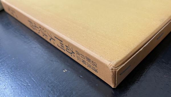 透派秘伝活断自在 奇門大法心得(張耀文、佐藤六龍) / 古本、中古